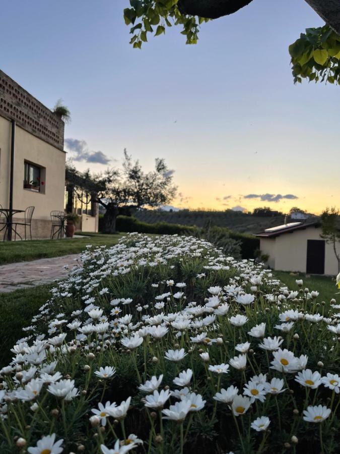 Alojamento de Turismo Rural La Rustica Pianella (Pescara)
