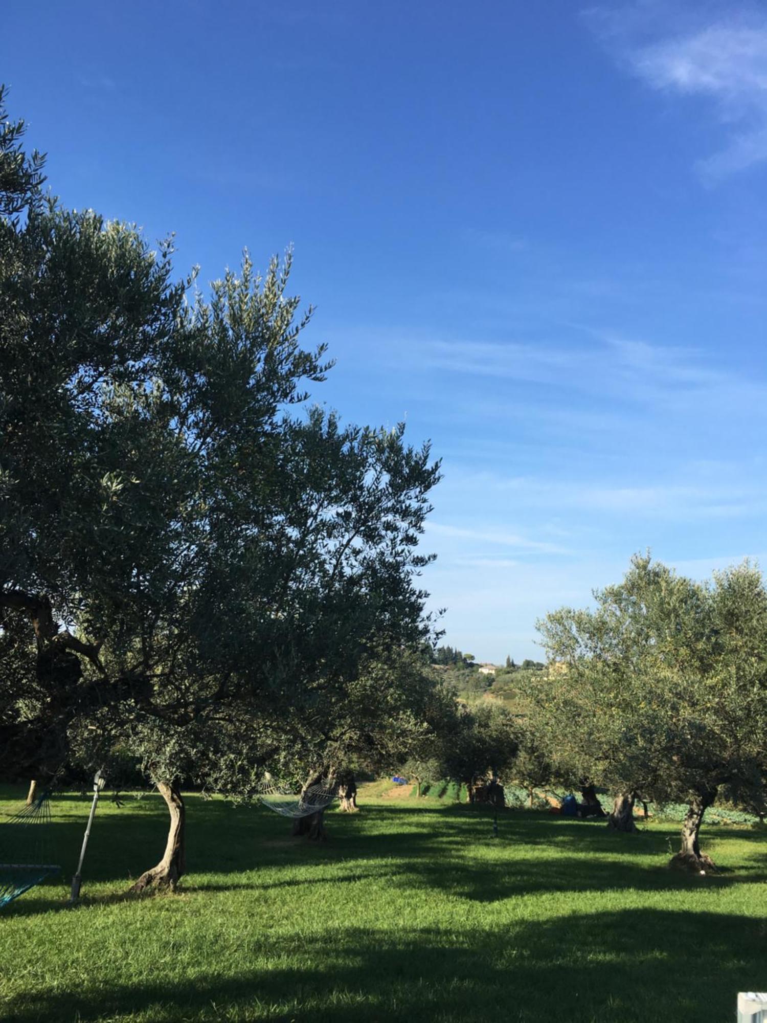 La Rustica