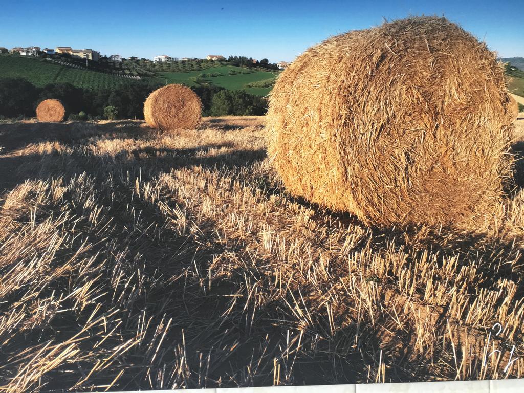Alojamento de Turismo Rural La Rustica Pianella (Pescara)