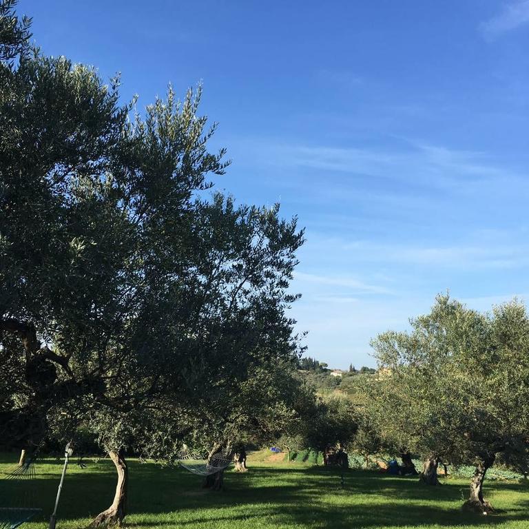 Alojamento de Turismo Rural La Rustica *